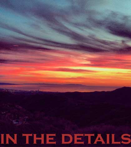 In the Details by Ashley Berry