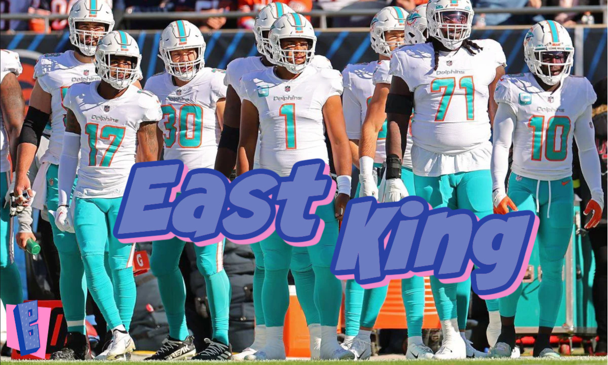 miami dolphins